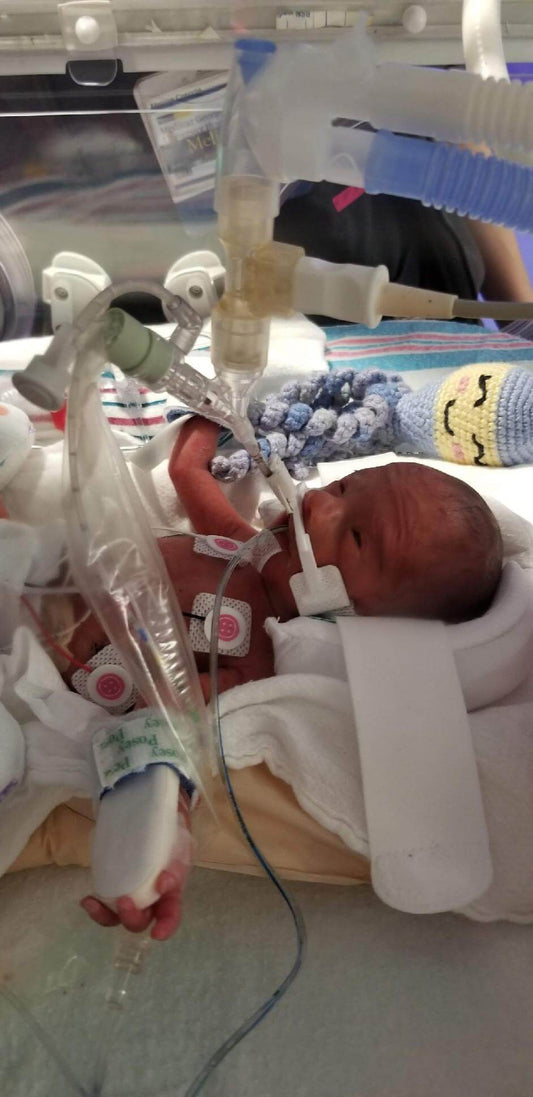 Brianna's NICU Journey